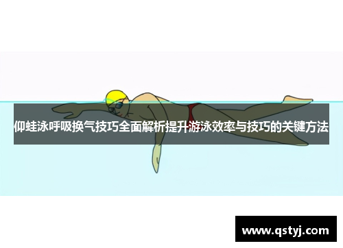 仰蛙泳呼吸换气技巧全面解析提升游泳效率与技巧的关键方法